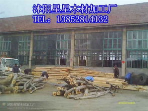 匠心獨運 沭陽星星木材加工廠的楊木板材與木制品